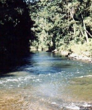 Fazenda-Sítio-Chácara, 808298 hectares - Foto 4