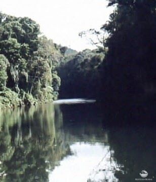 Fazenda-Sítio-Chácara, 808298 hectares - Foto 3