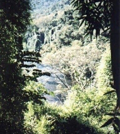 Fazenda-Sítio-Chácara, 808298 hectares - Foto 1