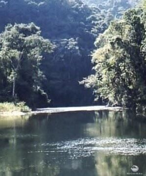 Fazenda-Sítio-Chácara, 808298 hectares - Foto 2