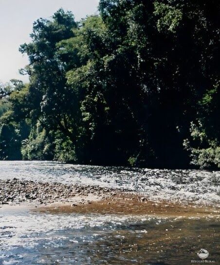 Fazenda-Sítio-Chácara, 808298 hectares - Foto 5