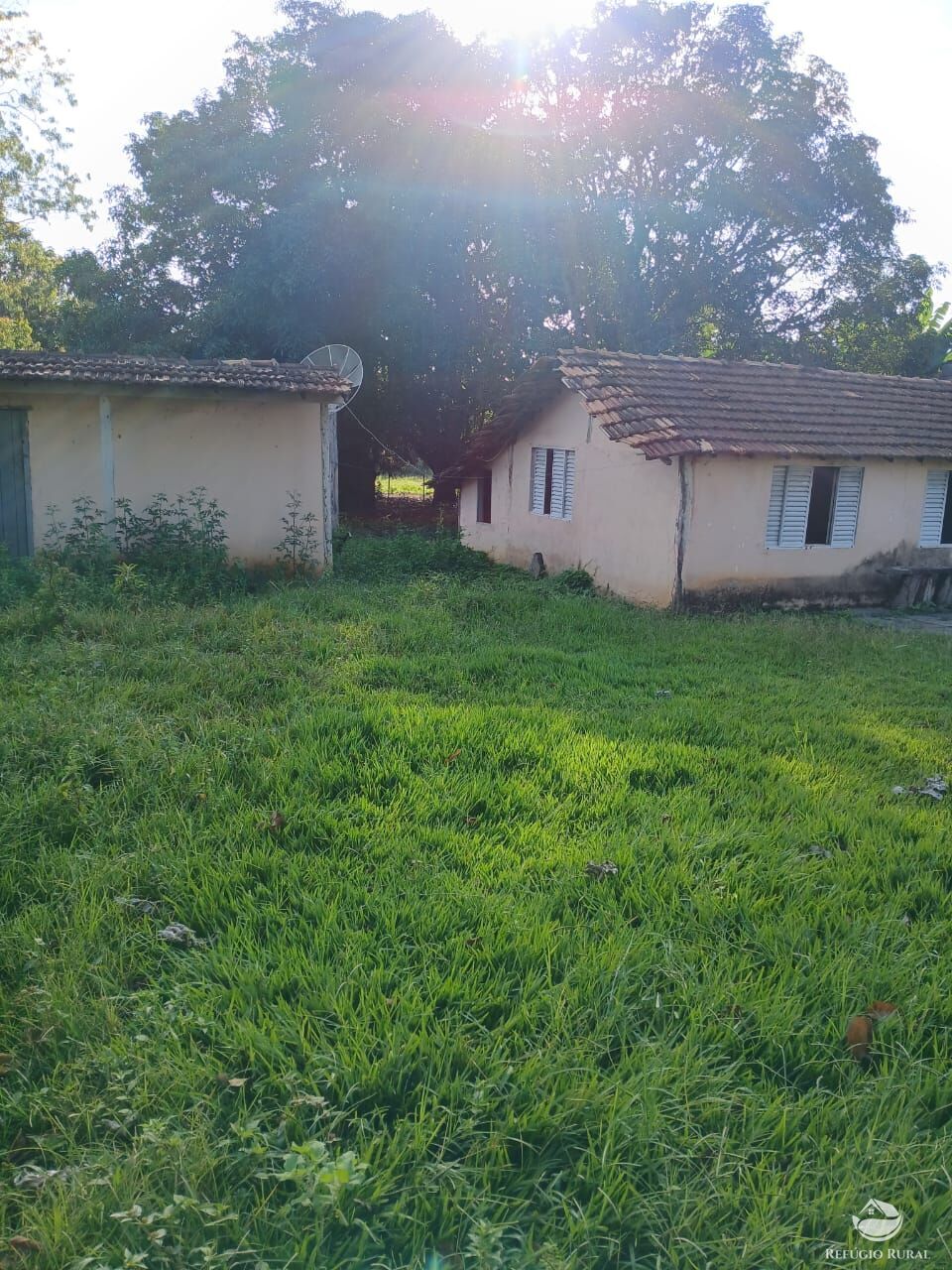 Fazenda, 250 hectares - Foto 20