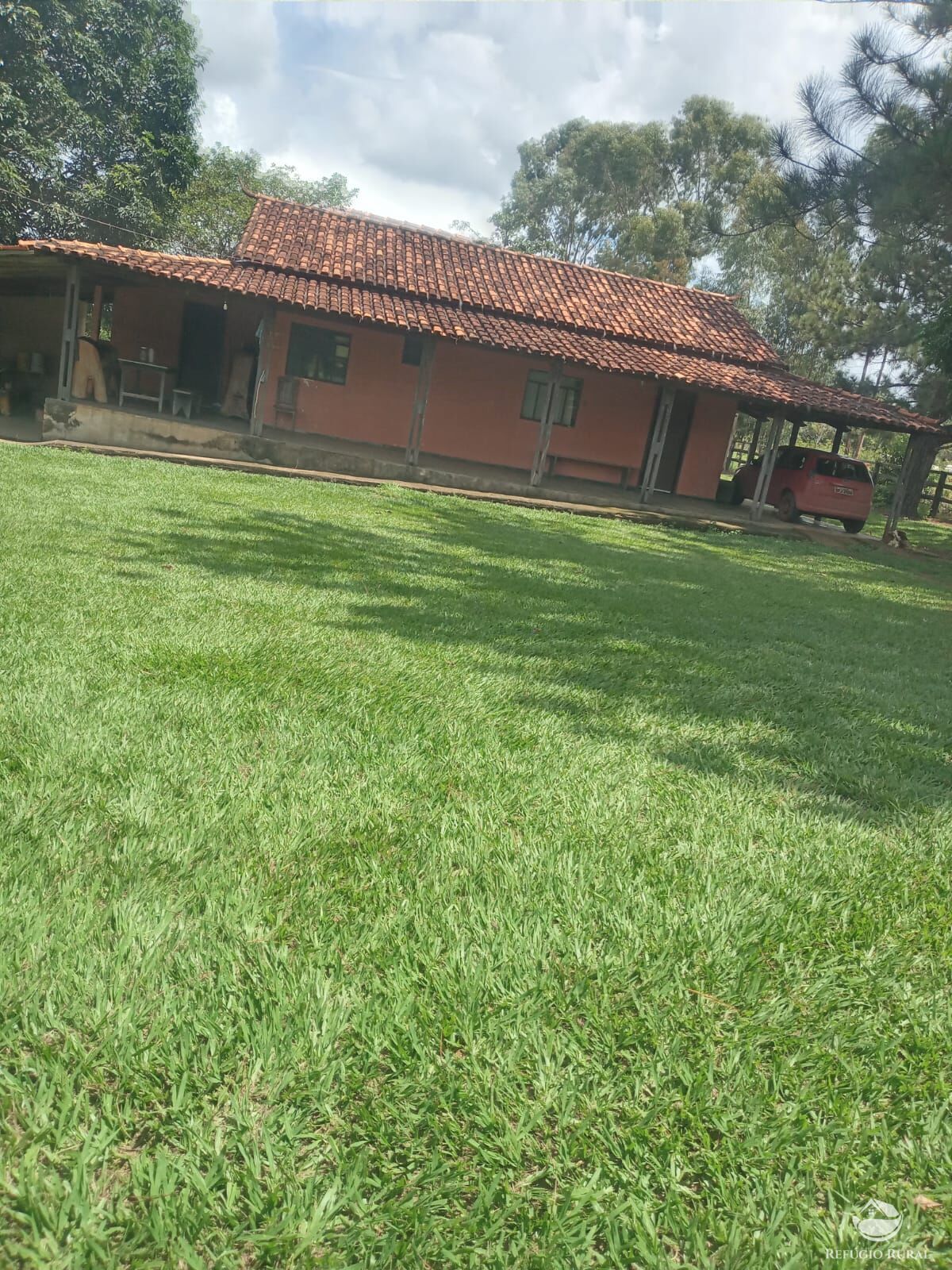 Fazenda, 250 hectares - Foto 5