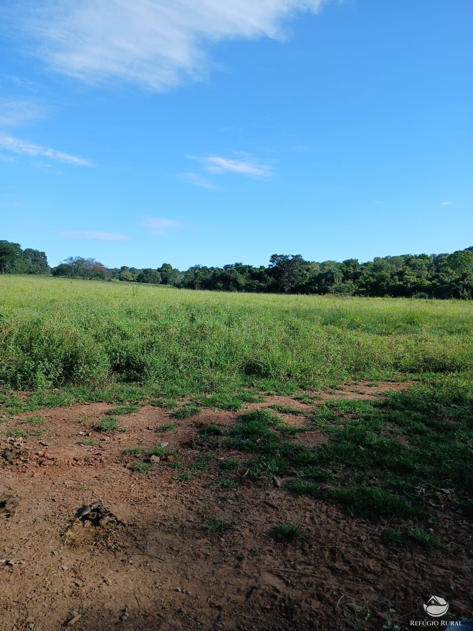 Fazenda, 250 hectares - Foto 19