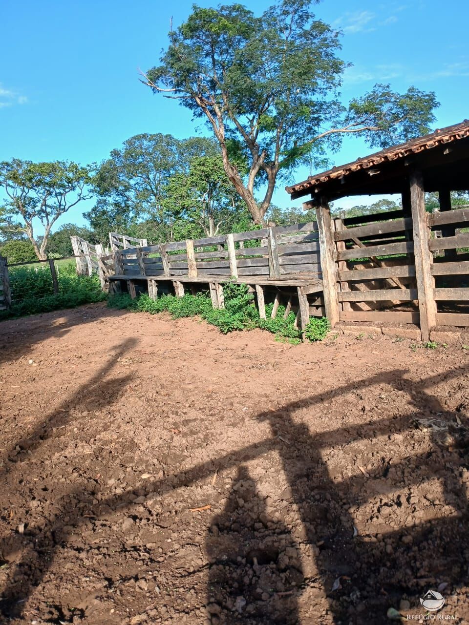 Fazenda, 250 hectares - Foto 24
