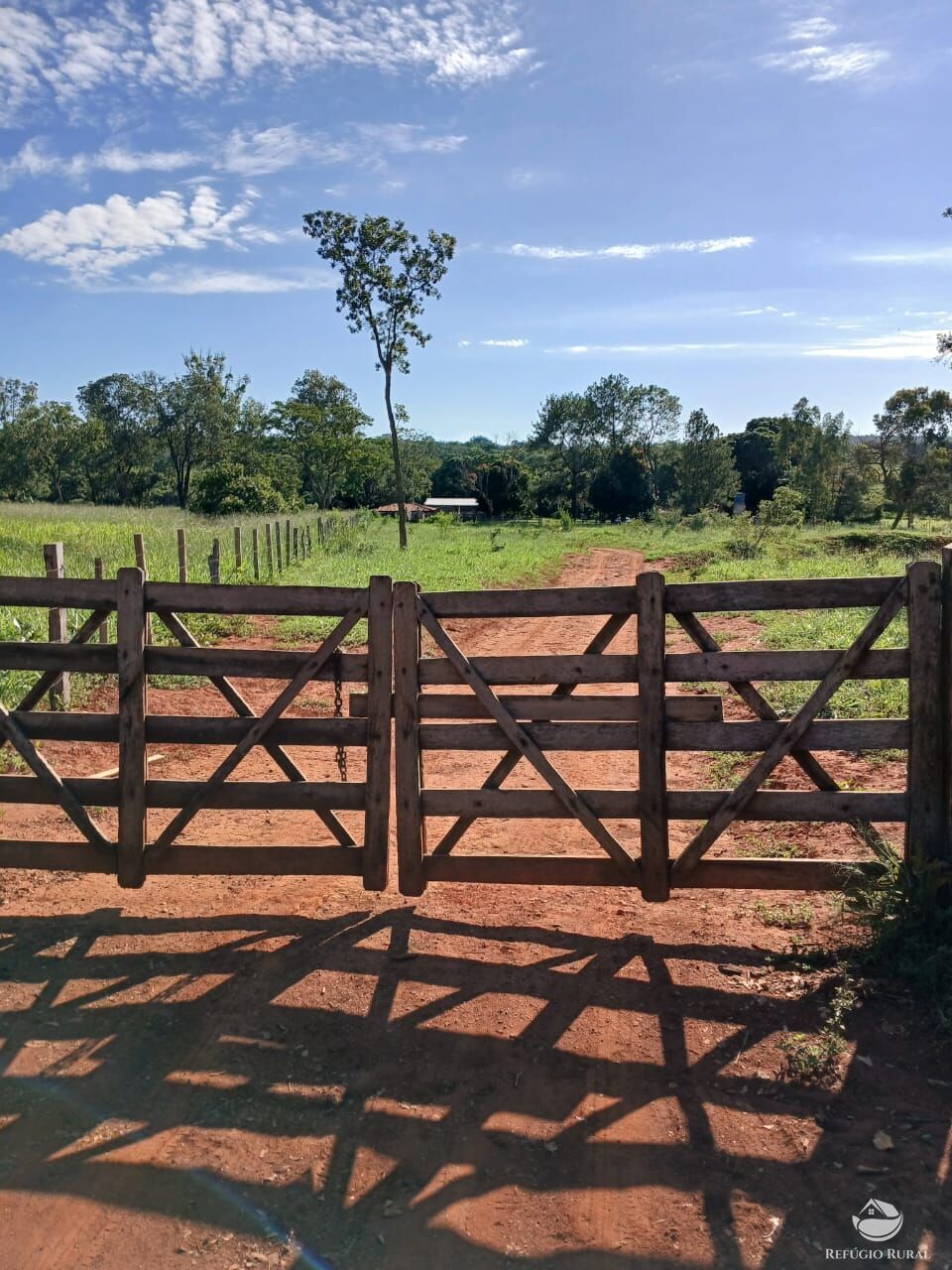 Fazenda, 250 hectares - Foto 1