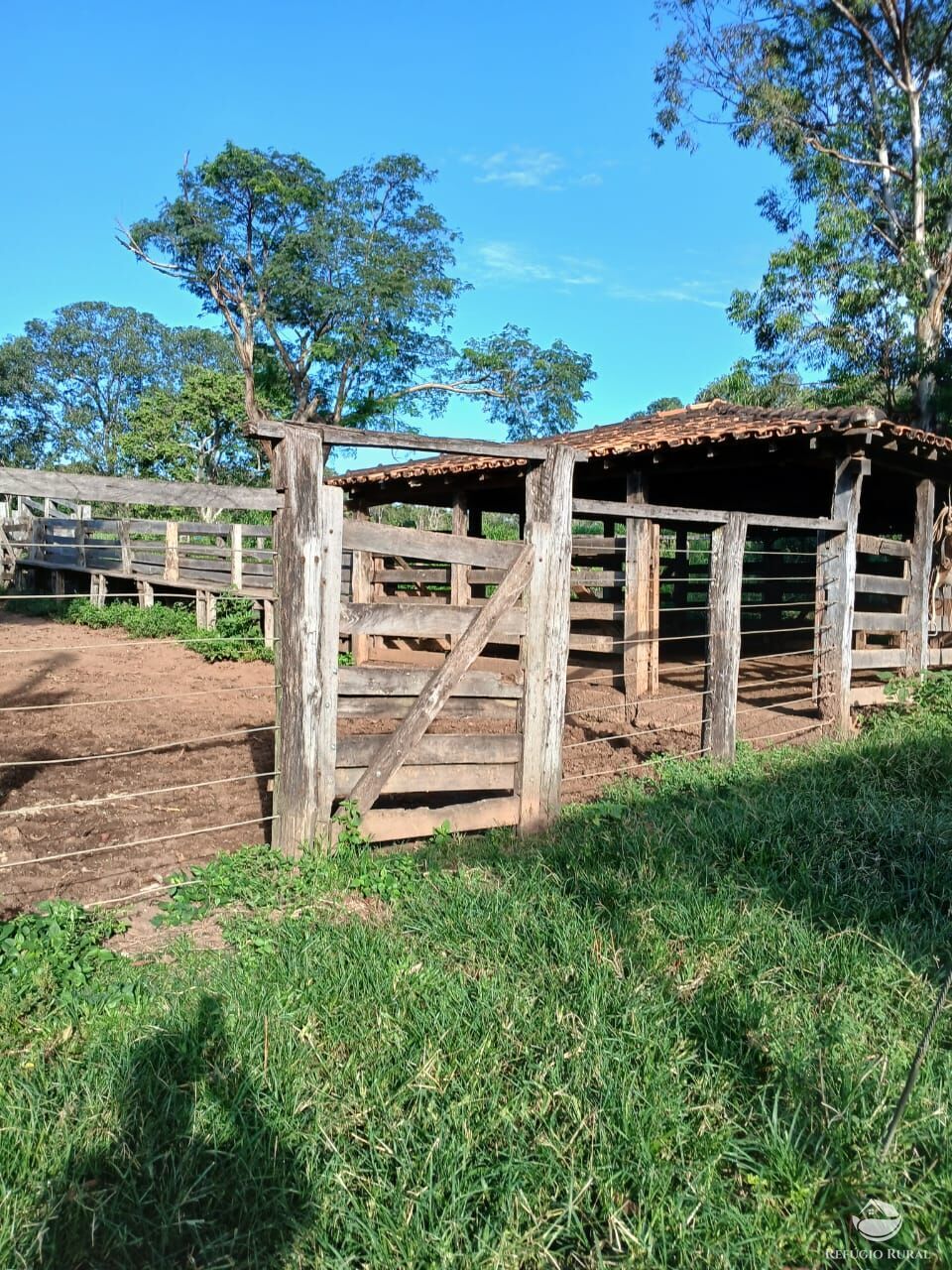 Fazenda, 250 hectares - Foto 6