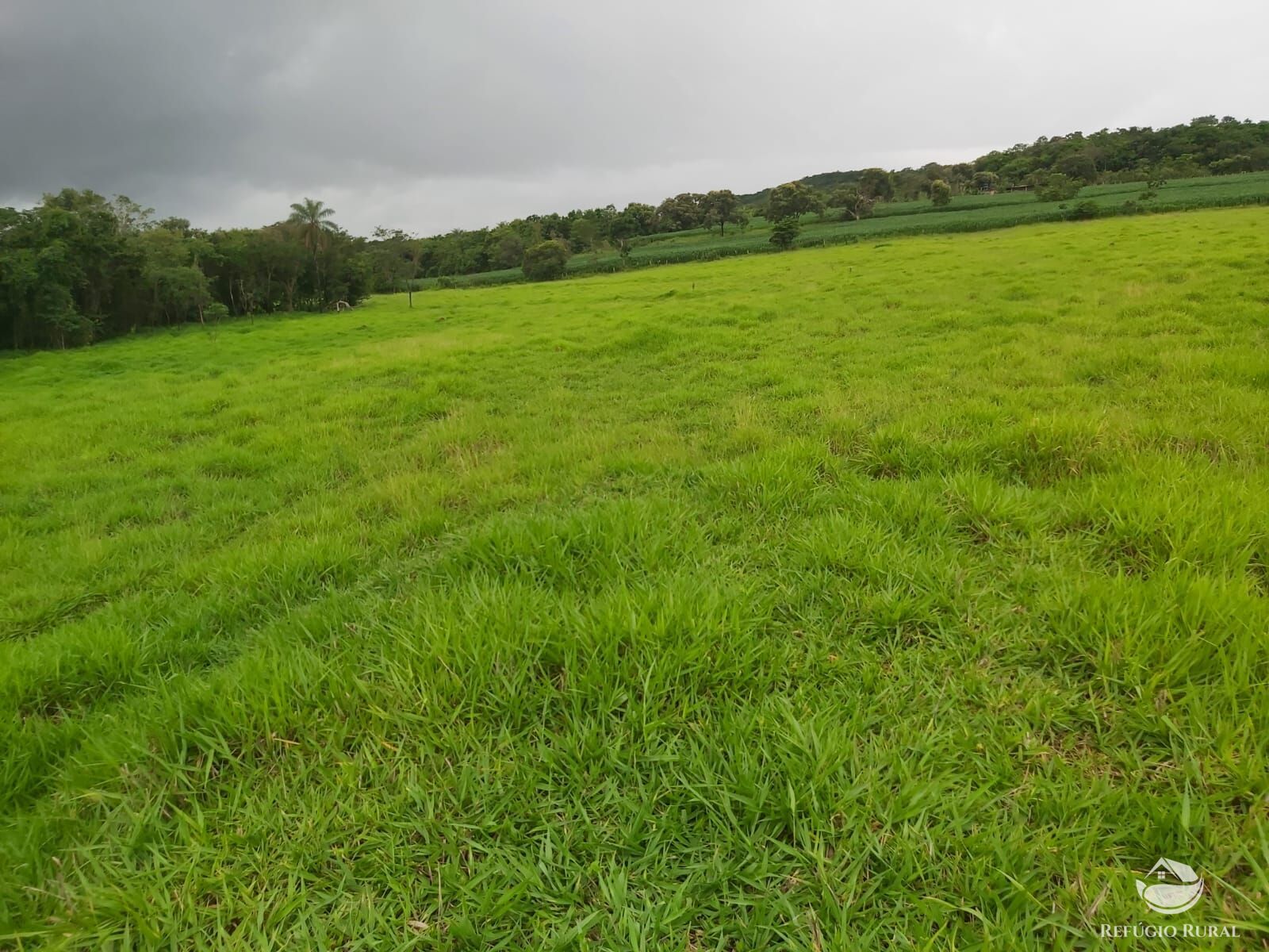 Chácara, 10 hectares - Foto 8
