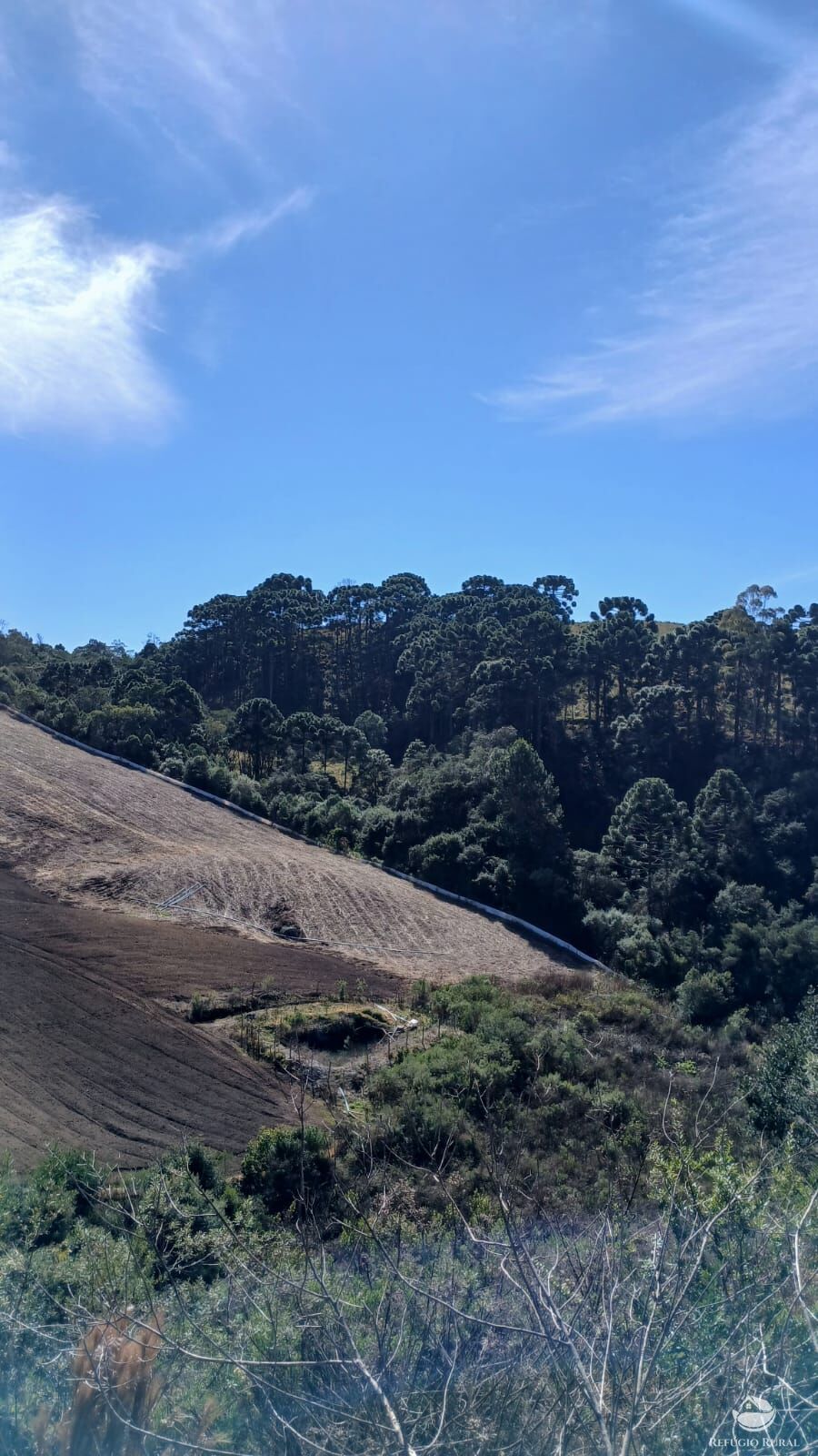Chácara à venda com 1 quarto, 20000m² - Foto 15