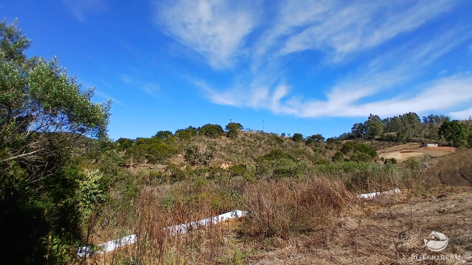 Chácara à venda com 1 quarto, 20000m² - Foto 7