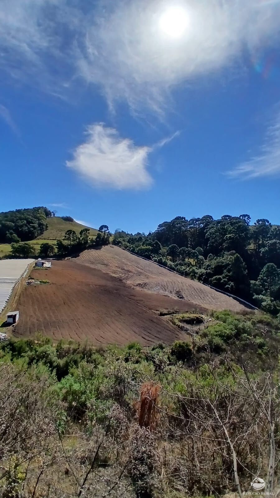 Chácara à venda com 1 quarto, 20000m² - Foto 18