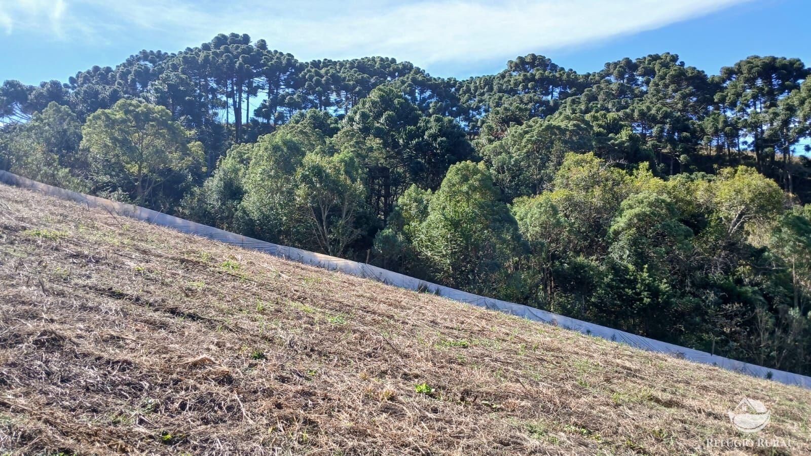 Chácara à venda com 1 quarto, 20000m² - Foto 12