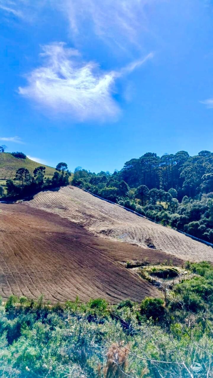 Chácara à venda com 1 quarto, 20000m² - Foto 1