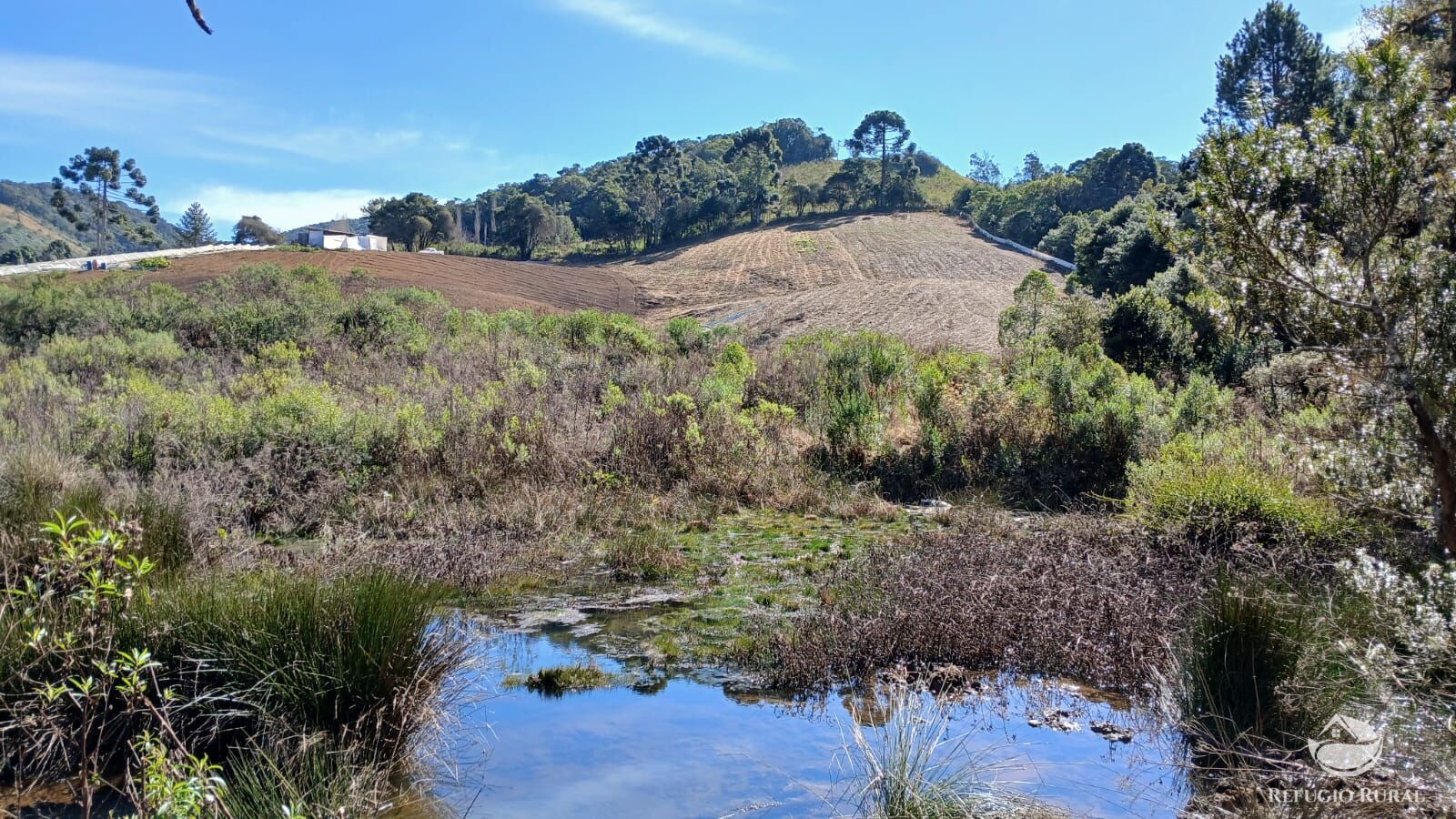 Chácara à venda com 1 quarto, 20000m² - Foto 2