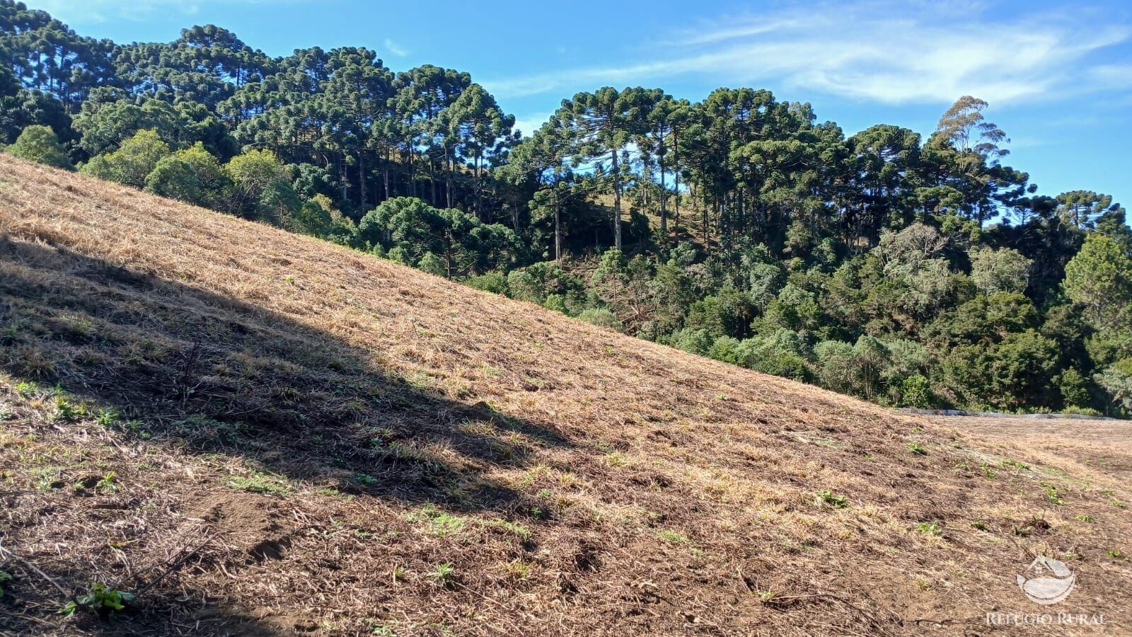Chácara à venda com 1 quarto, 20000m² - Foto 13