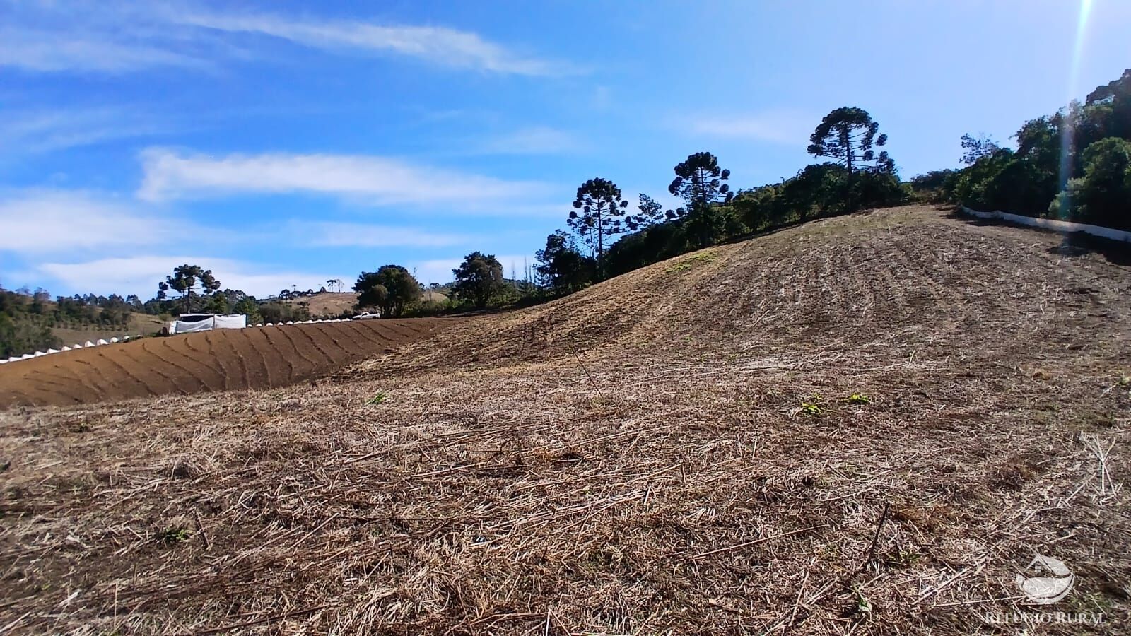 Chácara à venda com 1 quarto, 20000m² - Foto 4