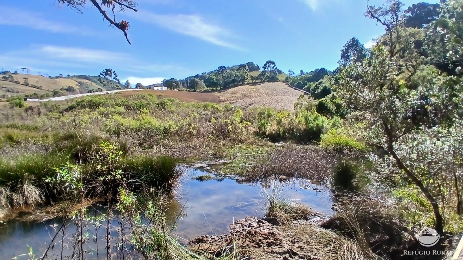 Chácara à venda com 1 quarto, 20000m² - Foto 9