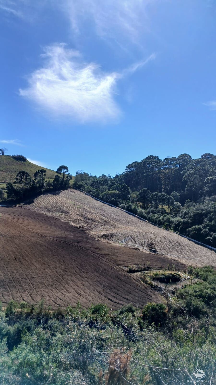 Chácara à venda com 1 quarto, 20000m² - Foto 16