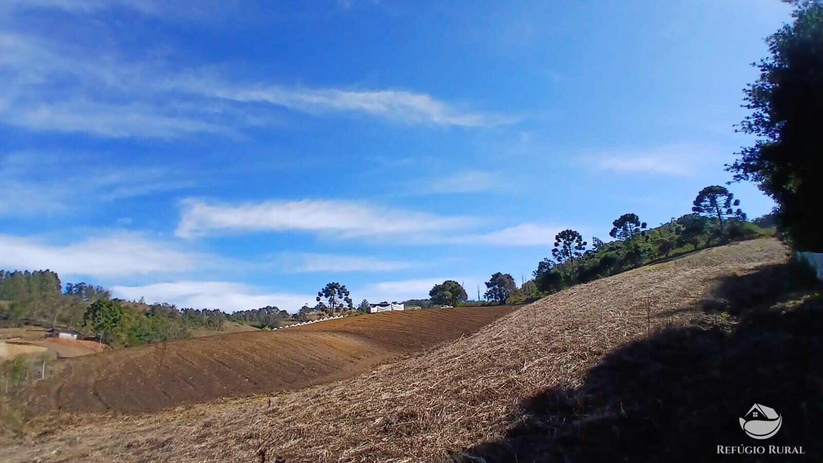 Chácara à venda com 1 quarto, 20000m² - Foto 3