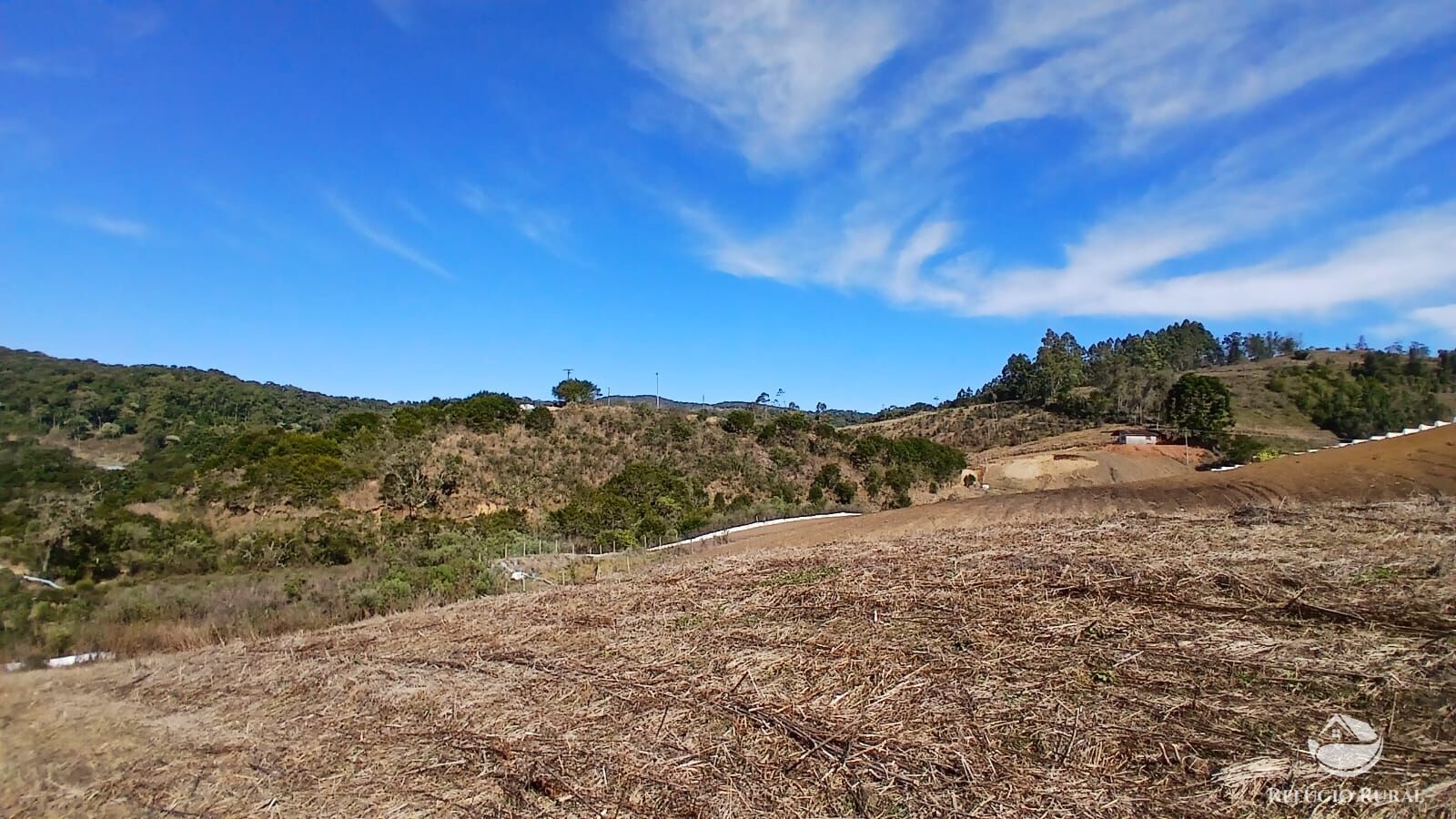 Chácara à venda com 1 quarto, 20000m² - Foto 8