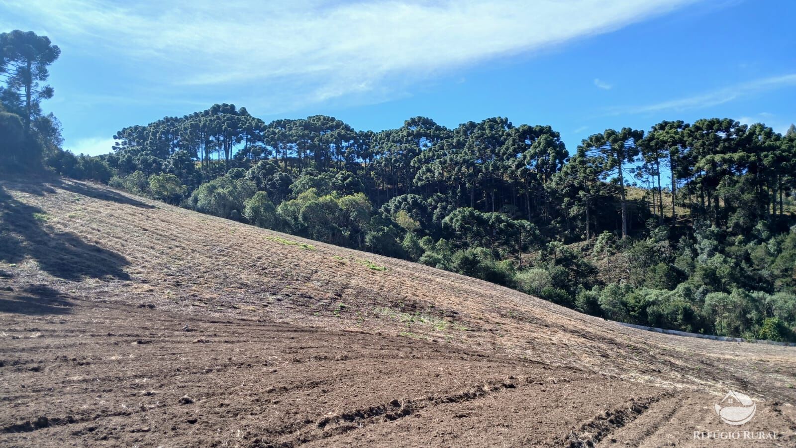 Chácara à venda com 1 quarto, 20000m² - Foto 19