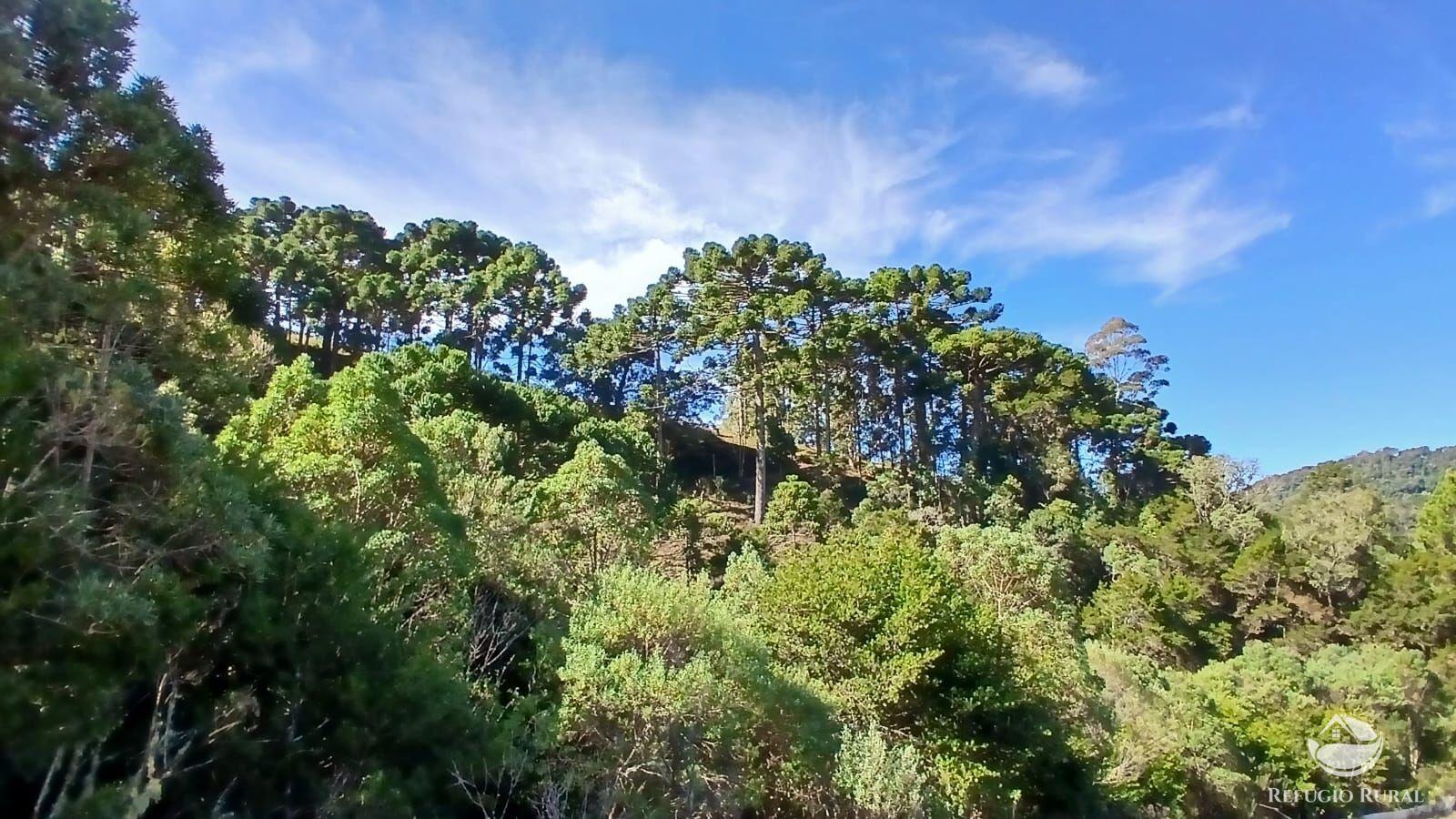 Chácara à venda com 1 quarto, 20000m² - Foto 11
