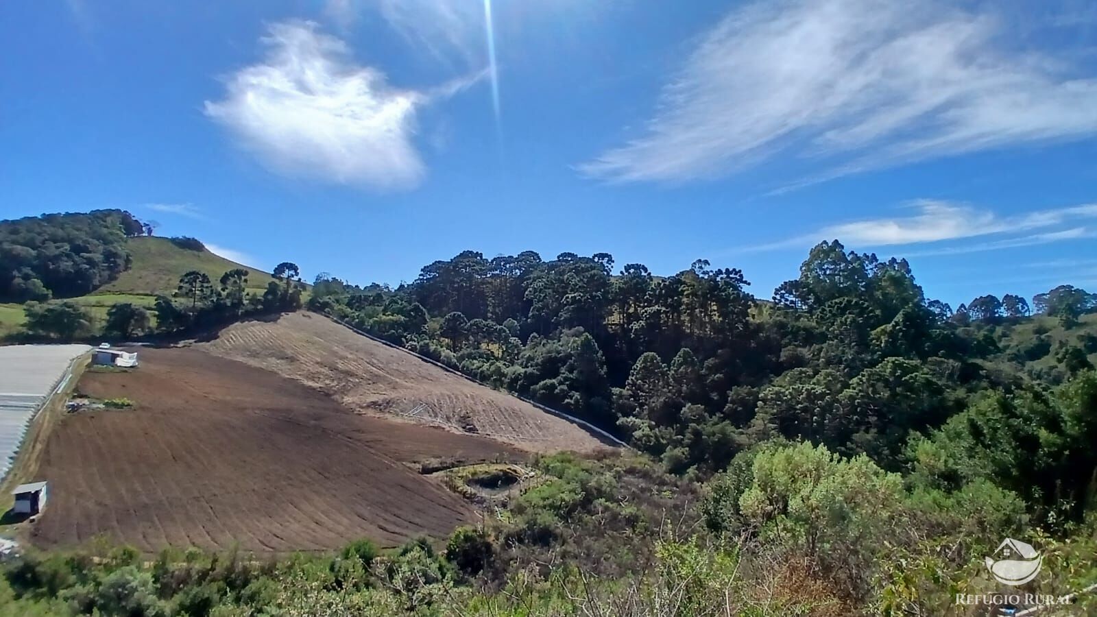 Chácara à venda com 1 quarto, 20000m² - Foto 17