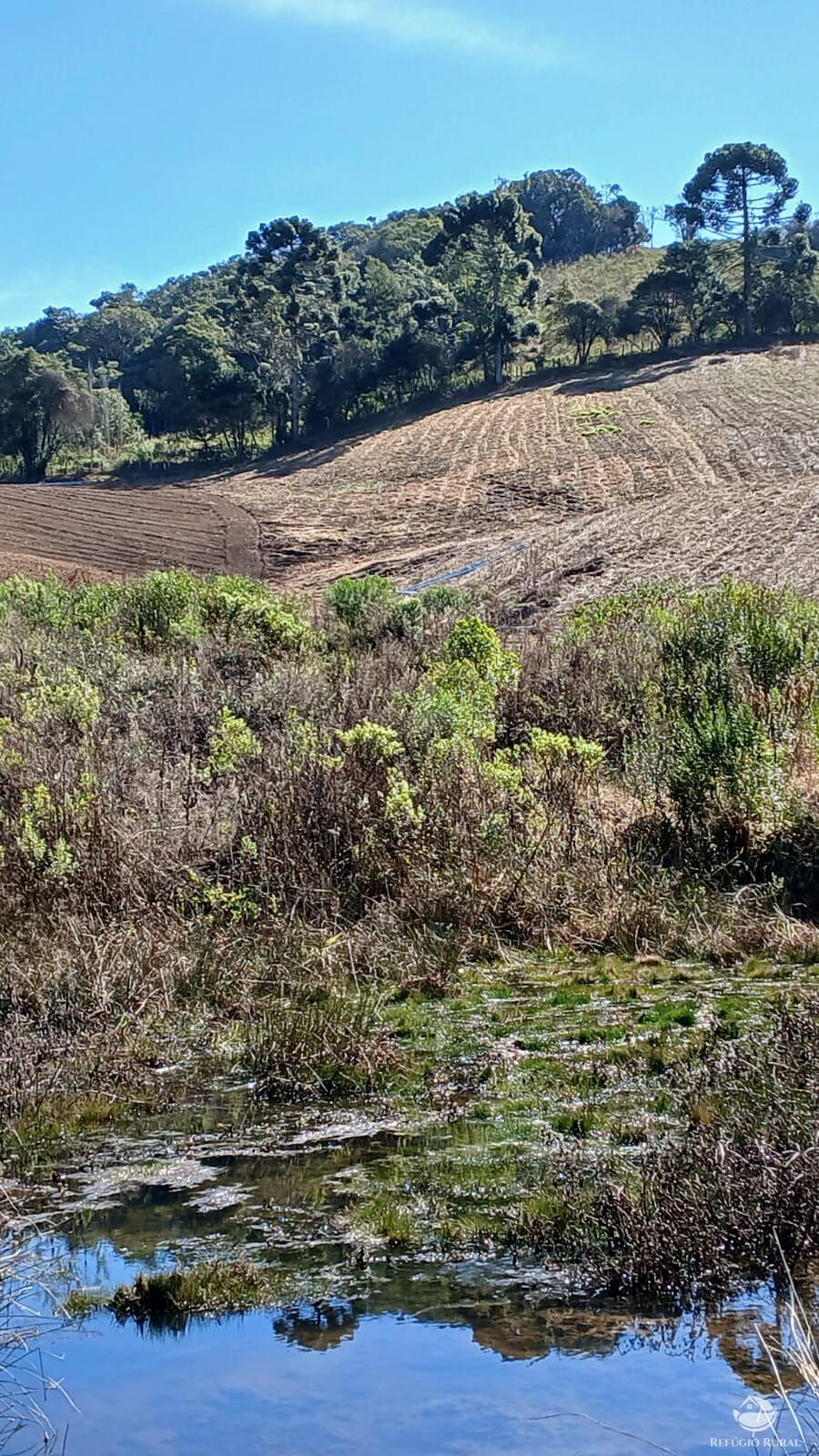 Chácara à venda com 1 quarto, 20000m² - Foto 5