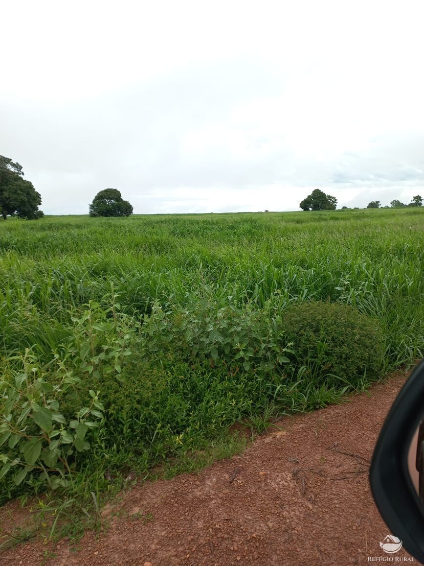 Fazenda à venda com 5 quartos, 10000000m² - Foto 5