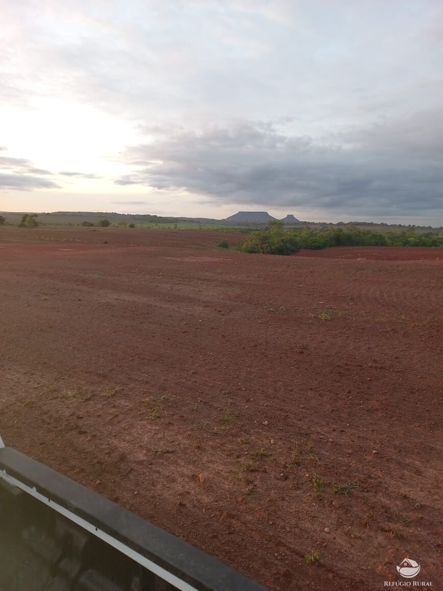 Fazenda à venda com 5 quartos, 10000000m² - Foto 10