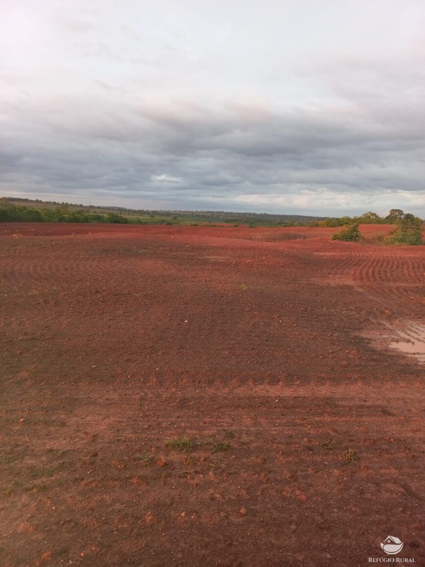 Fazenda à venda com 5 quartos, 10000000m² - Foto 9