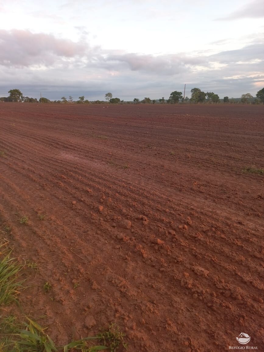 Fazenda à venda com 5 quartos, 10000000m² - Foto 6