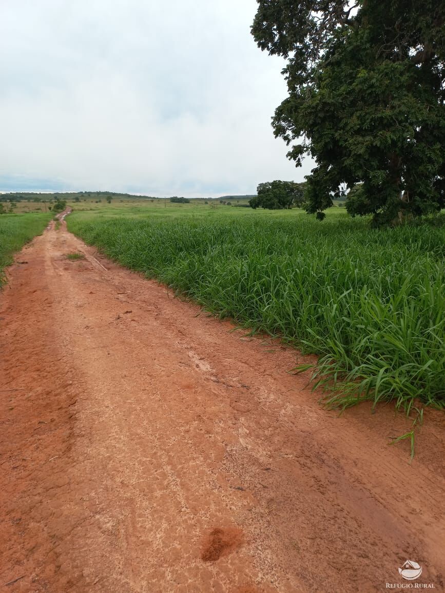 Fazenda à venda com 5 quartos, 10000000m² - Foto 4