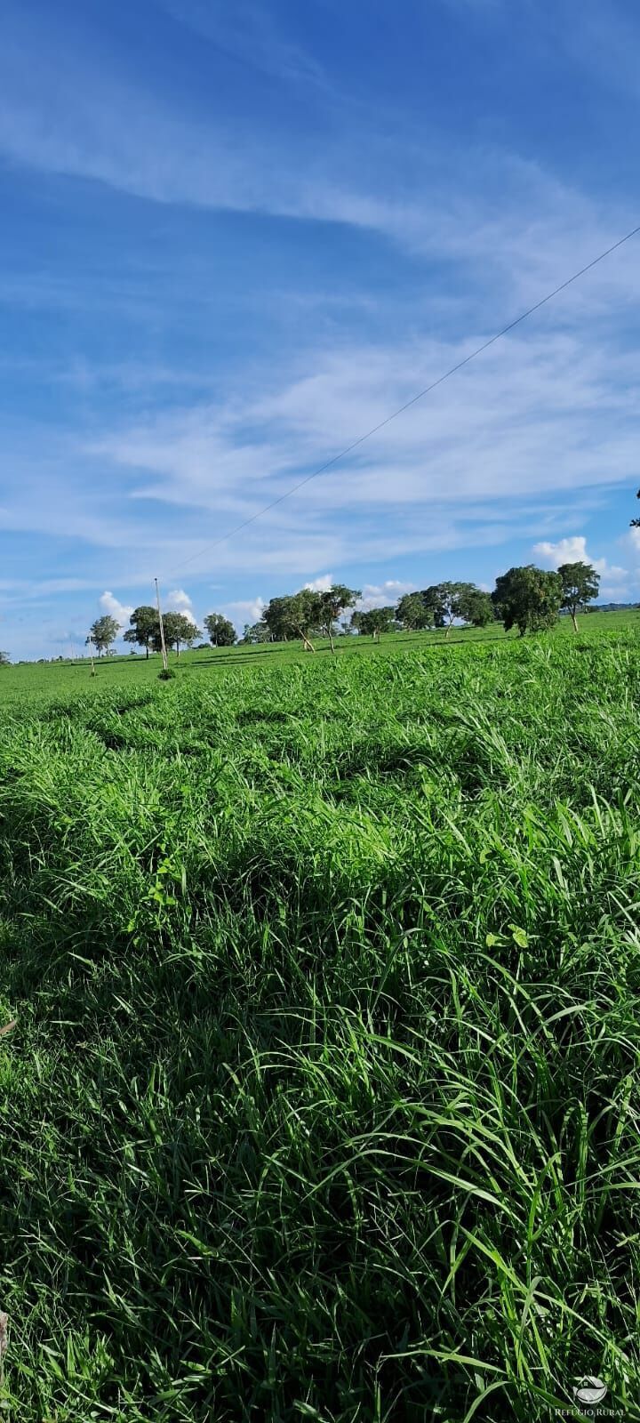 Fazenda à venda com 5 quartos, 10000000m² - Foto 2