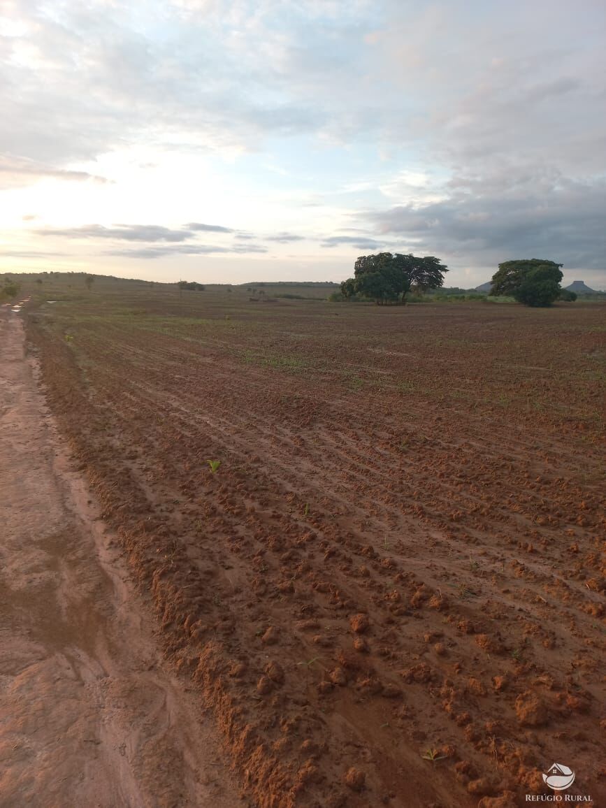 Fazenda à venda com 5 quartos, 10000000m² - Foto 11