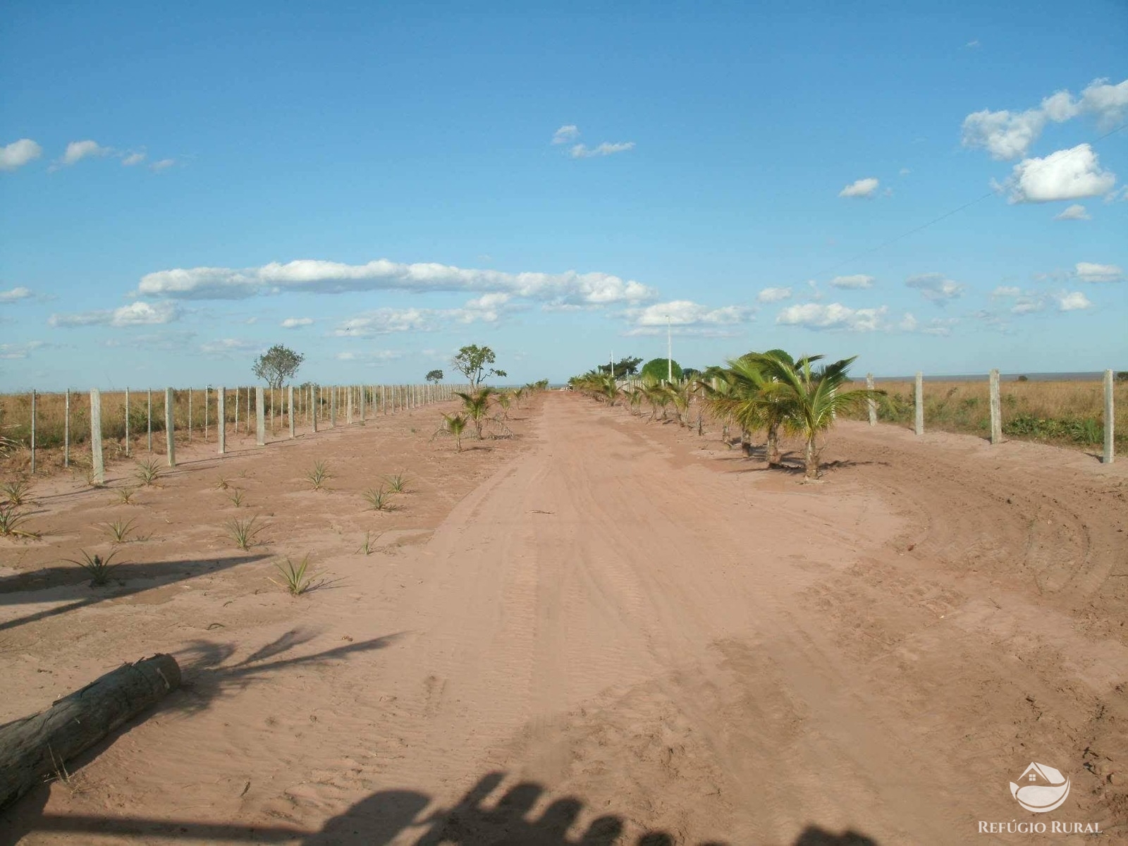 Fazenda à venda com 1 quarto, 32600000m² - Foto 4