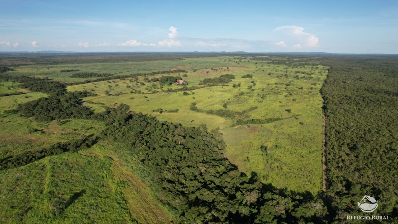 Fazenda à venda com 1 quarto, 32600000m² - Foto 37