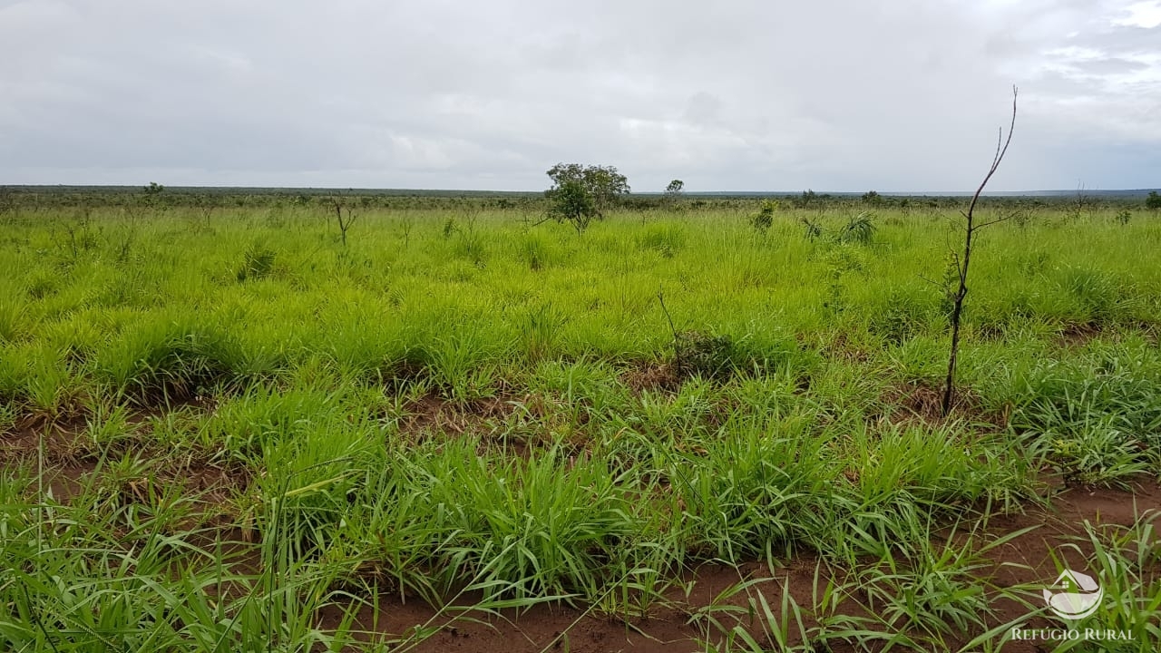 Fazenda à venda com 1 quarto, 32600000m² - Foto 13