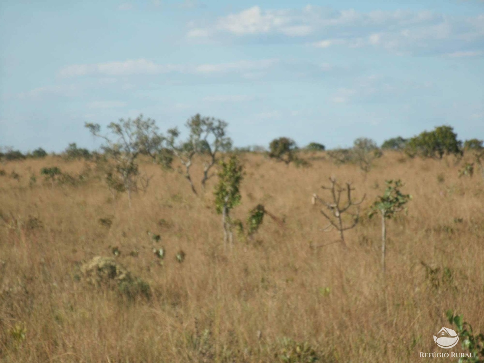 Fazenda à venda com 1 quarto, 32600000m² - Foto 23