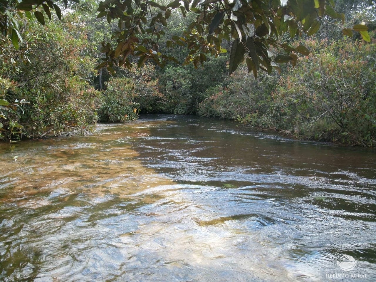 Fazenda à venda com 1 quarto, 32600000m² - Foto 34