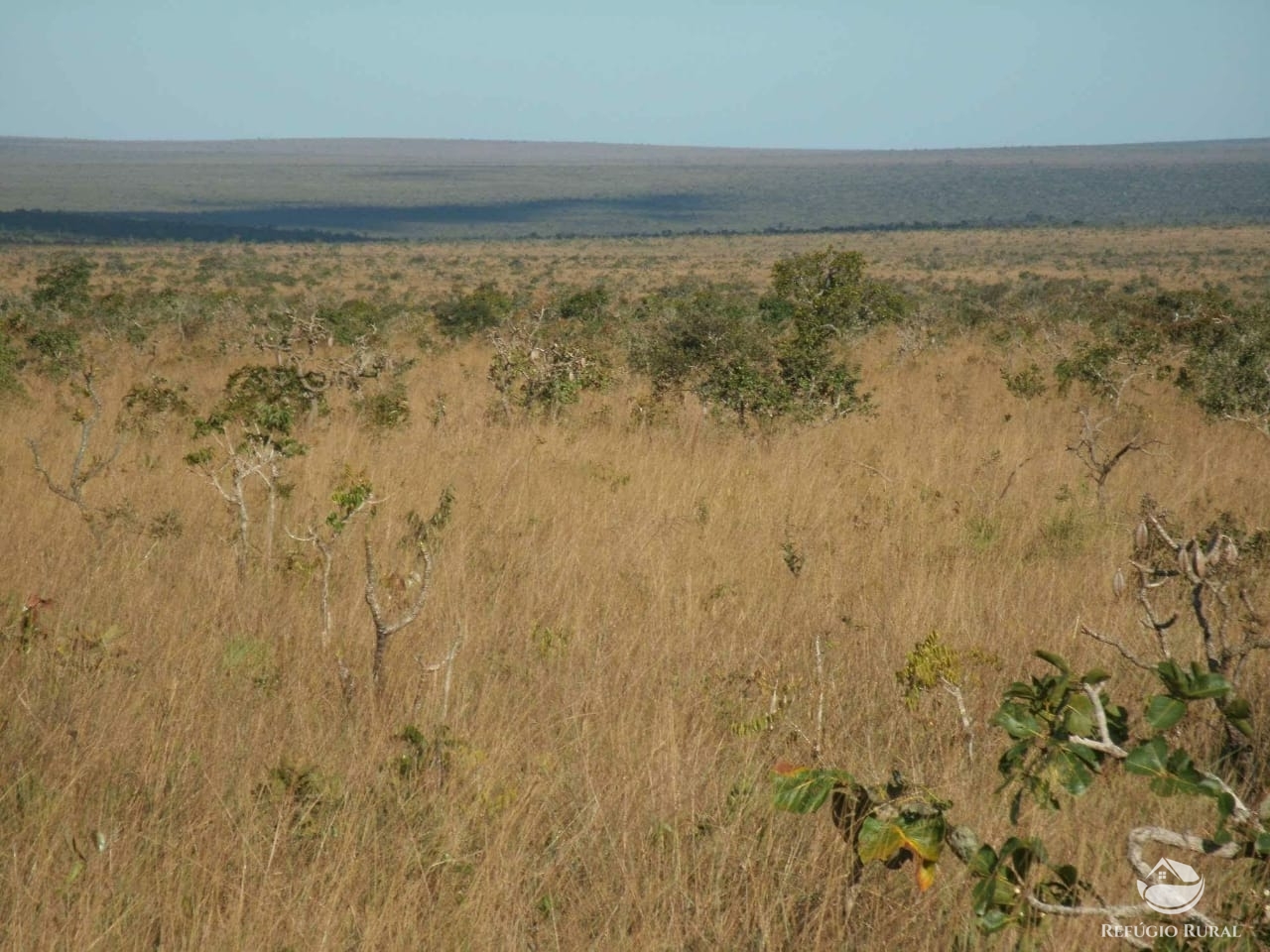 Fazenda à venda com 1 quarto, 32600000m² - Foto 19