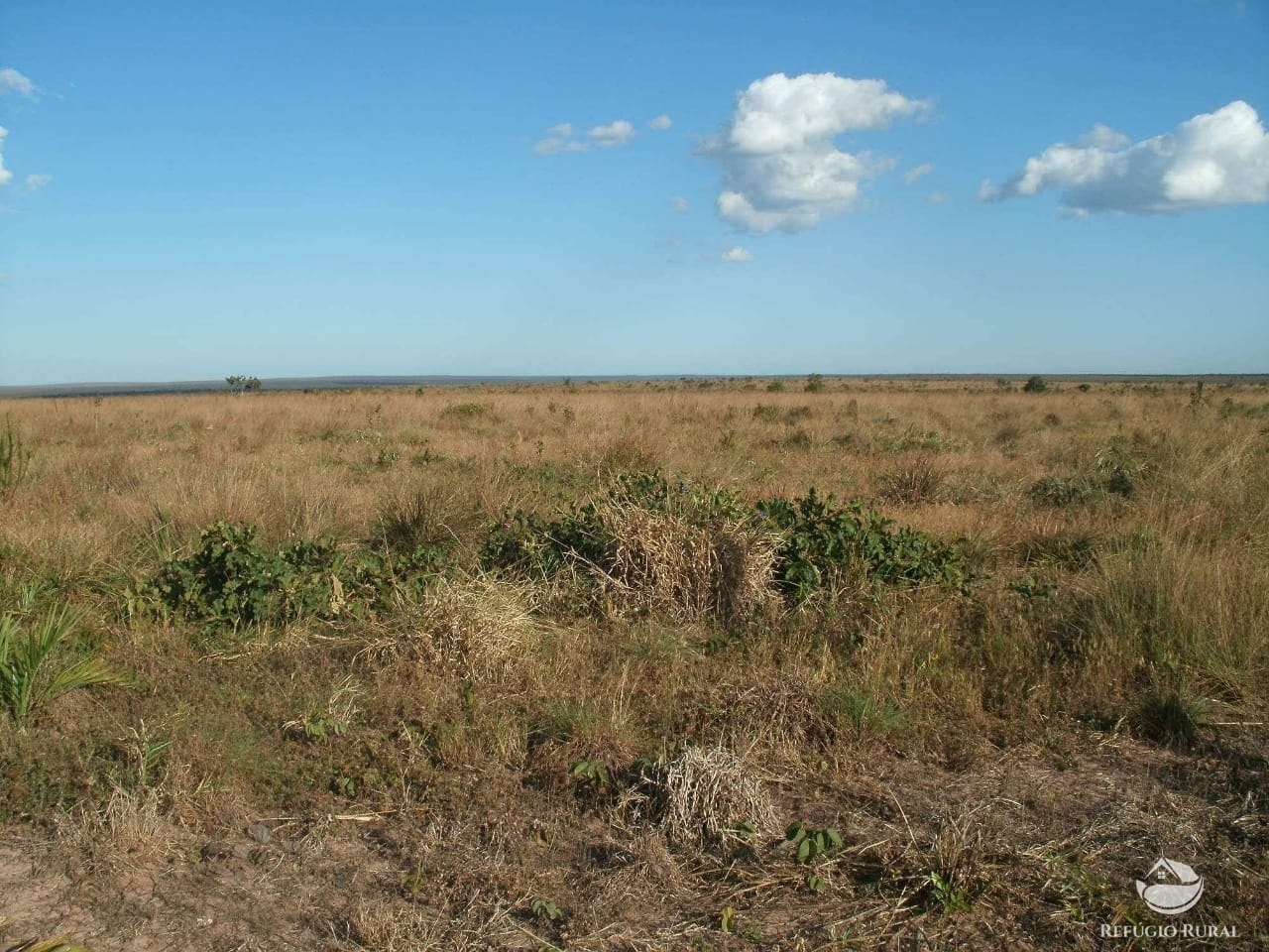 Fazenda à venda com 1 quarto, 32600000m² - Foto 9