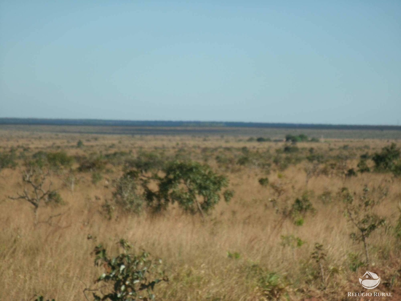 Fazenda à venda com 1 quarto, 32600000m² - Foto 6