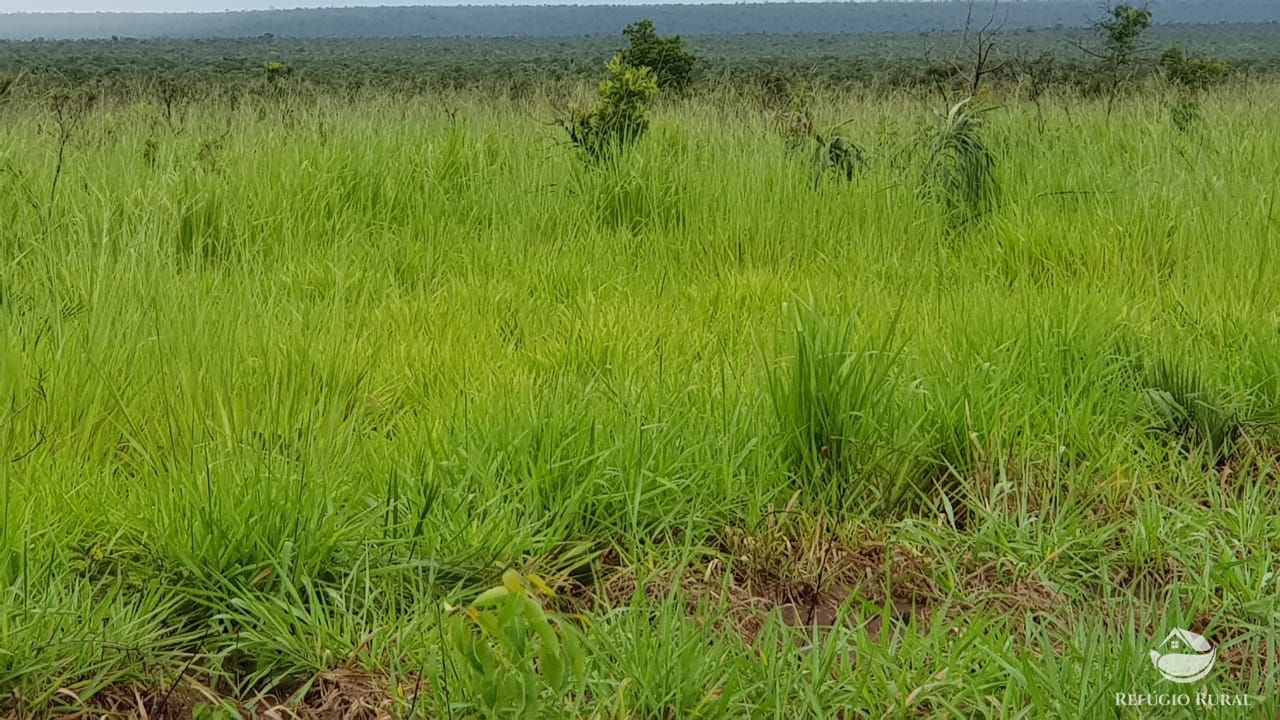 Fazenda à venda com 1 quarto, 32600000m² - Foto 31