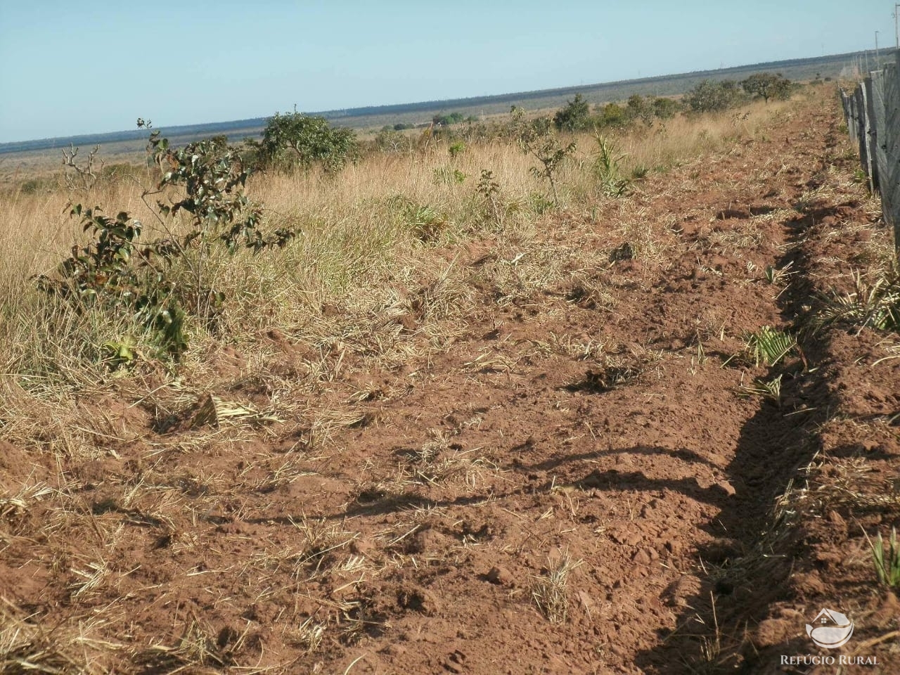 Fazenda à venda com 1 quarto, 32600000m² - Foto 36