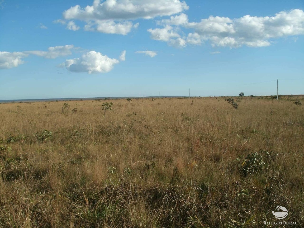 Fazenda à venda com 1 quarto, 32600000m² - Foto 21