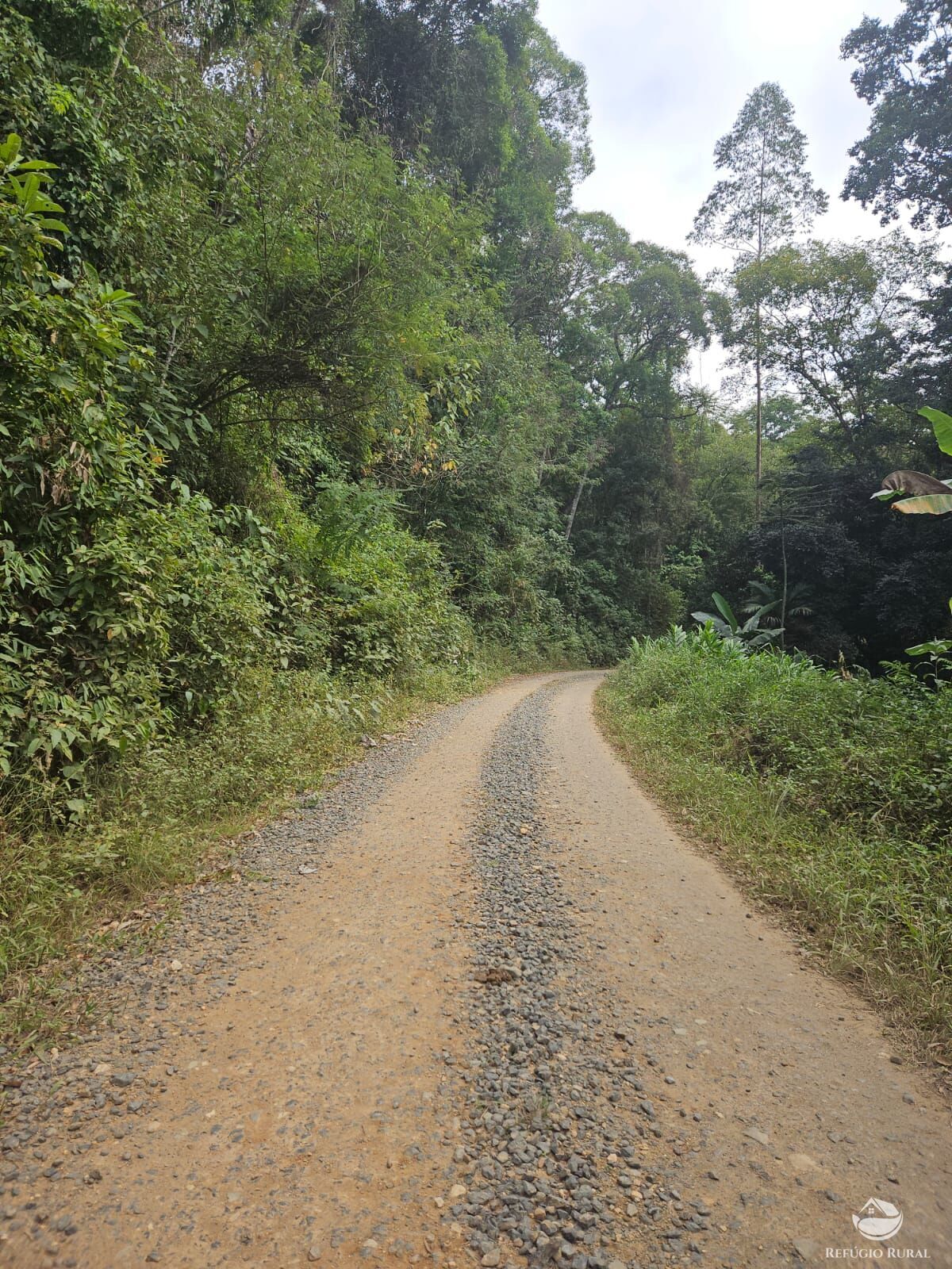 Sítio, 4 hectares - Foto 14