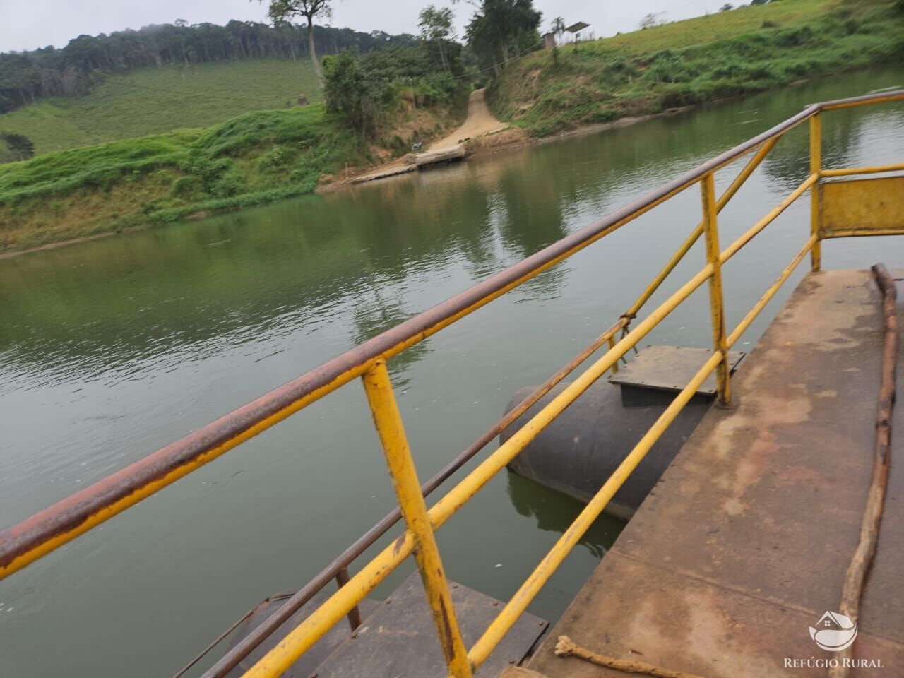 Sítio, 4 hectares - Foto 13