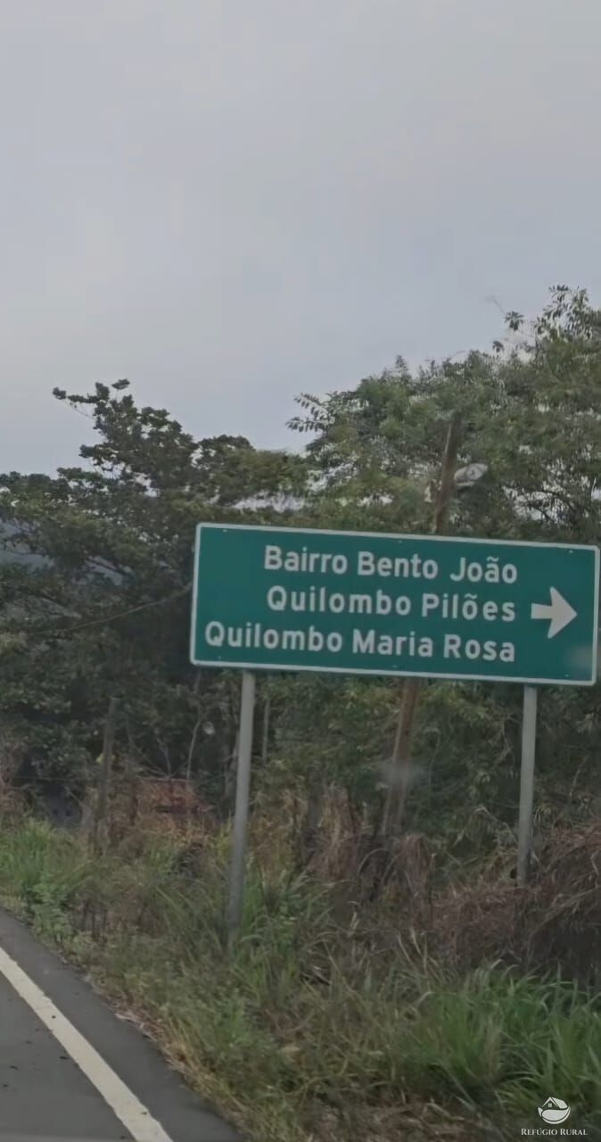 Sítio, 4 hectares - Foto 15