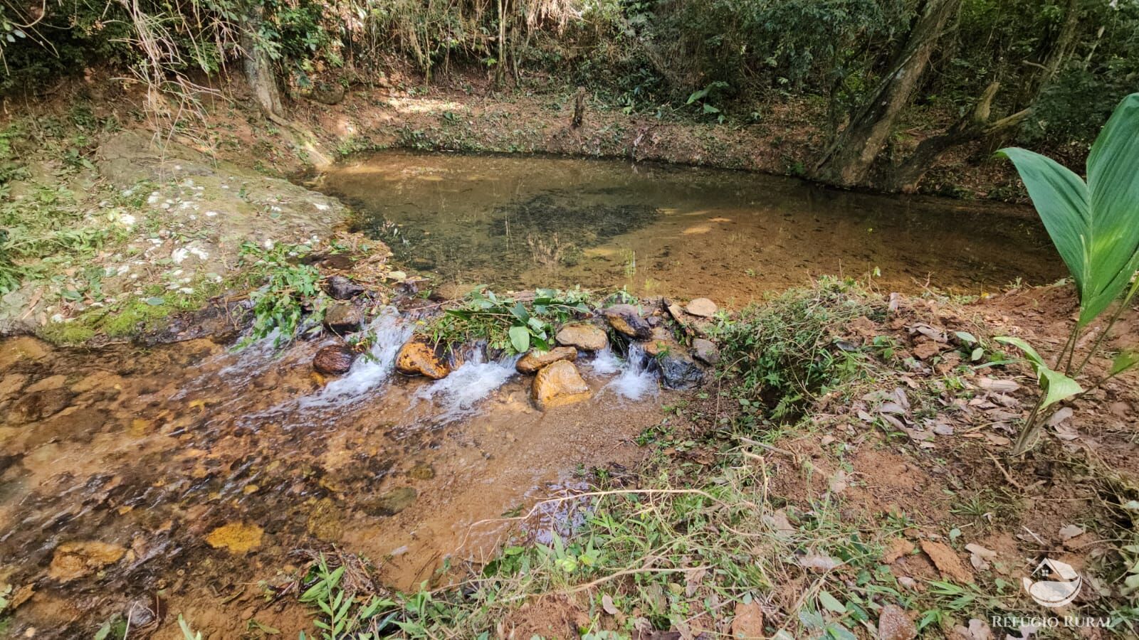 Sítio, 4 hectares - Foto 6